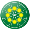 Limewire